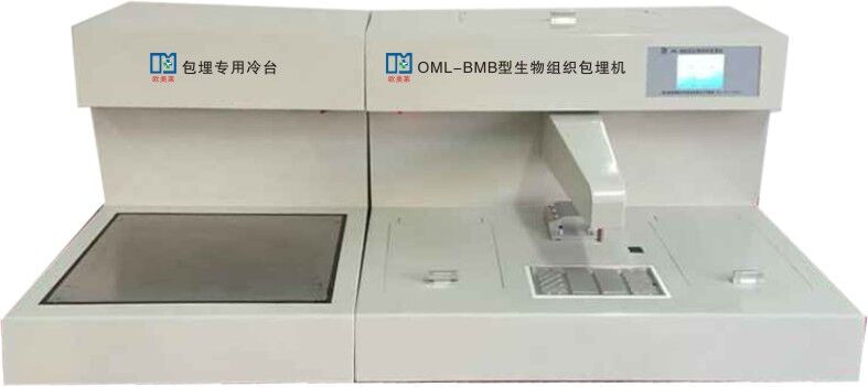 點(diǎn)擊查看大圖